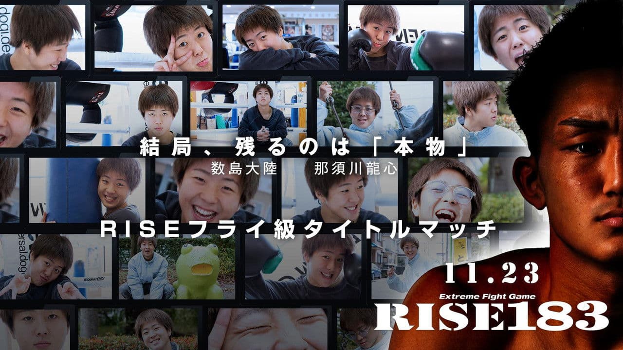 RISE 183の背景画像