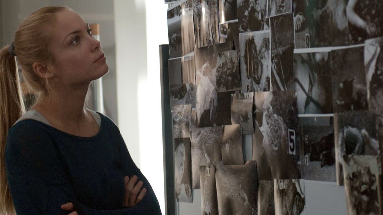 Fotografの背景画像