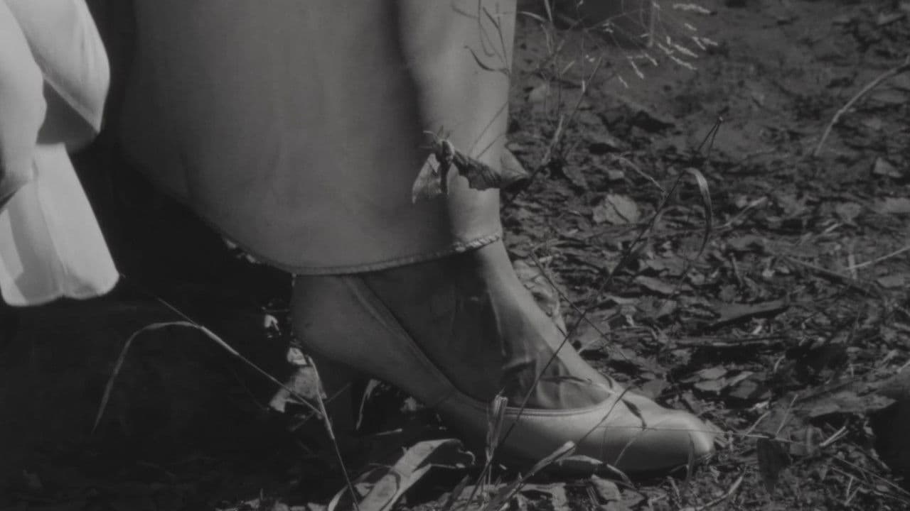 The Toadman of Topangaの背景画像