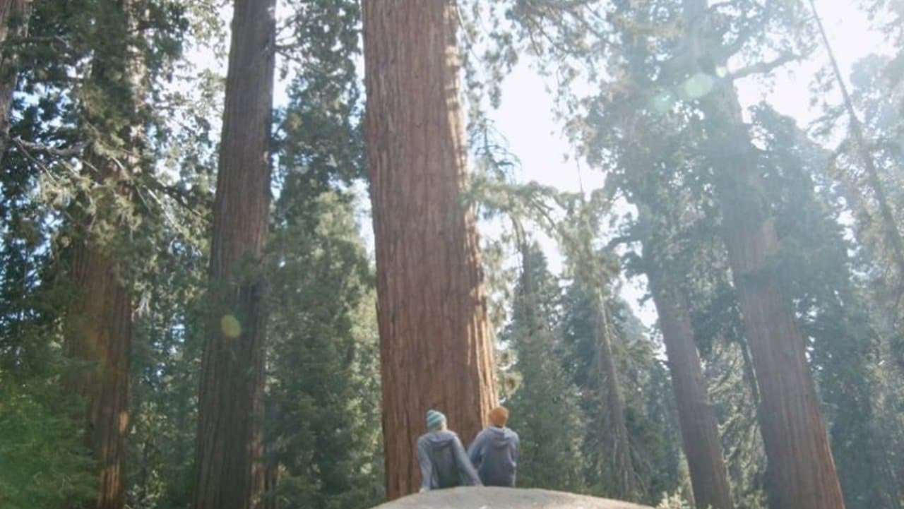 Dear Luke, Love, Meの背景画像