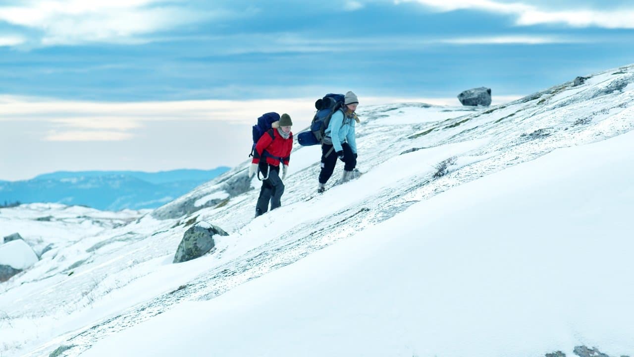 Fjelletの背景画像