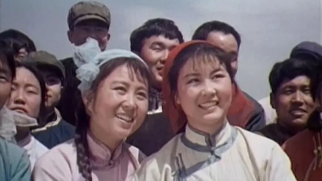 战地黄花の背景画像