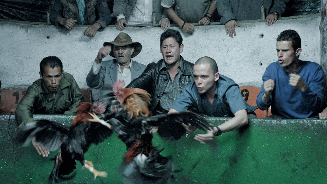 Asunto de gallosの背景画像