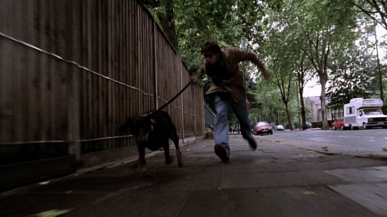 My Wrongs #8245–8249 & 117の背景画像