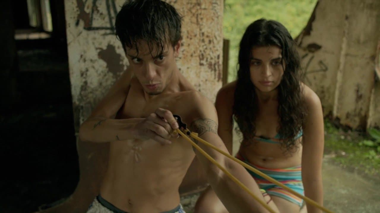 Tigreの背景画像