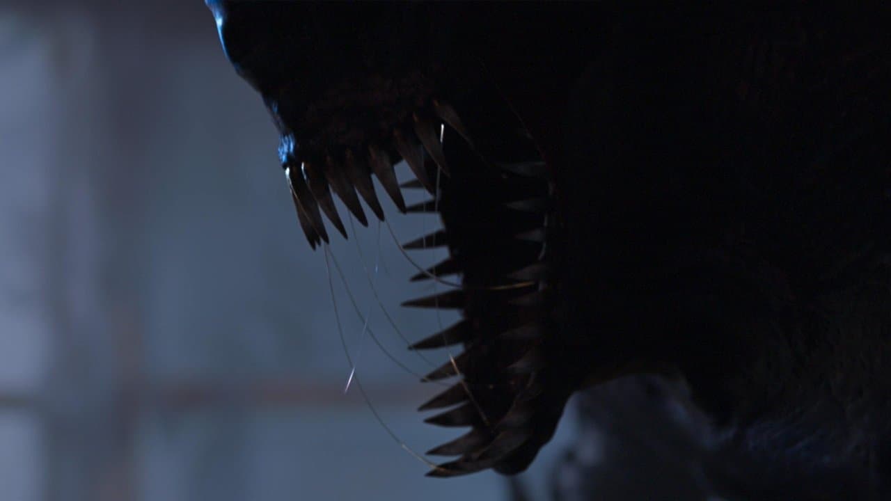 Stereoscopeの背景画像