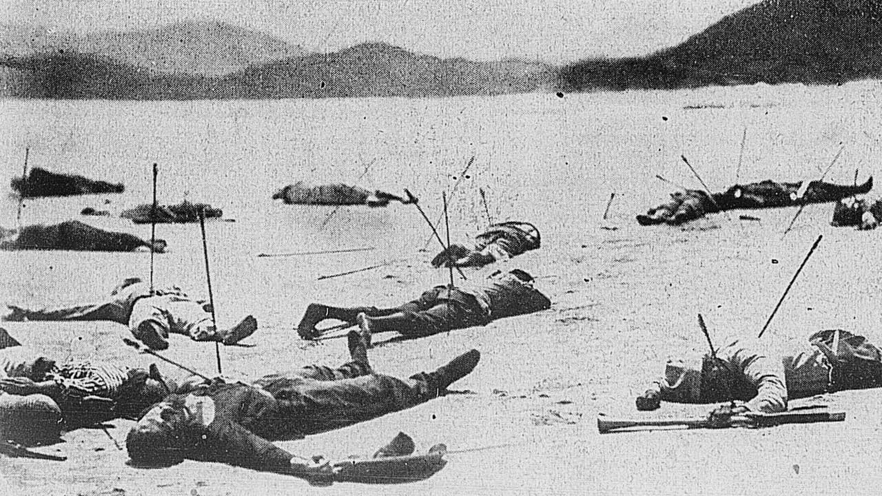 Iracemaの背景画像