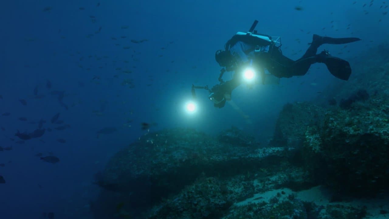 Atlantis Risingの背景画像