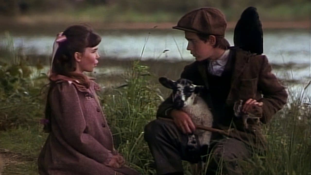 The Secret Gardenの背景画像