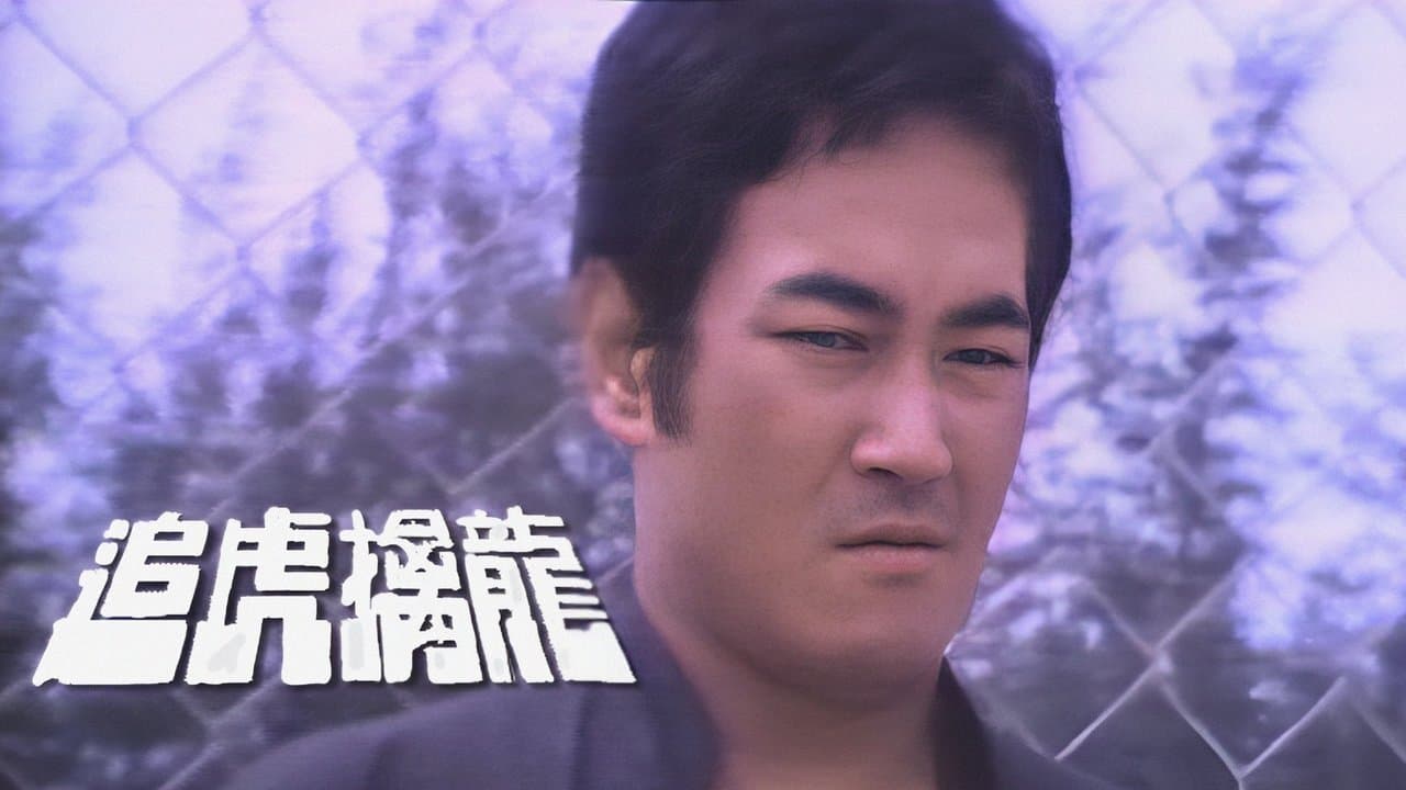 追虎擒龍の背景画像