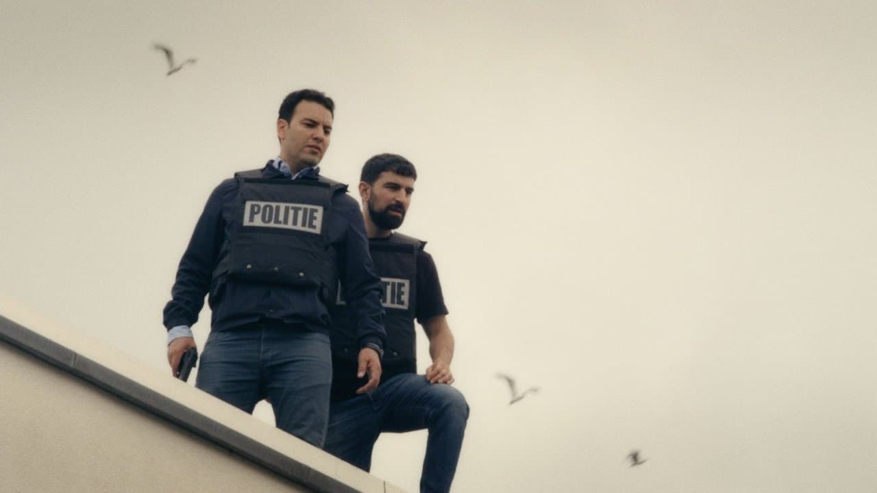 Scotoeの背景画像