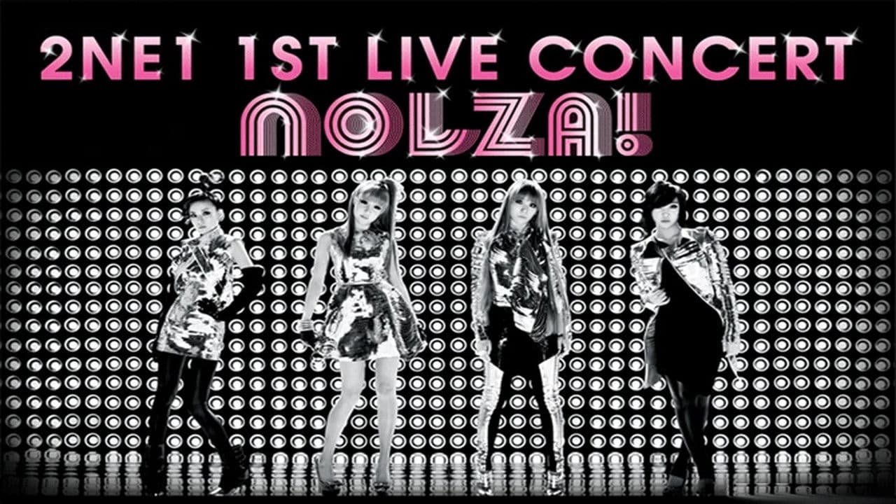 2NE1: 1st Live Concert NOLZAの背景画像