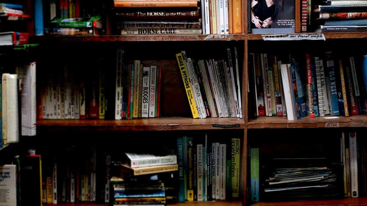 Dirty Sex Tacticsの背景画像