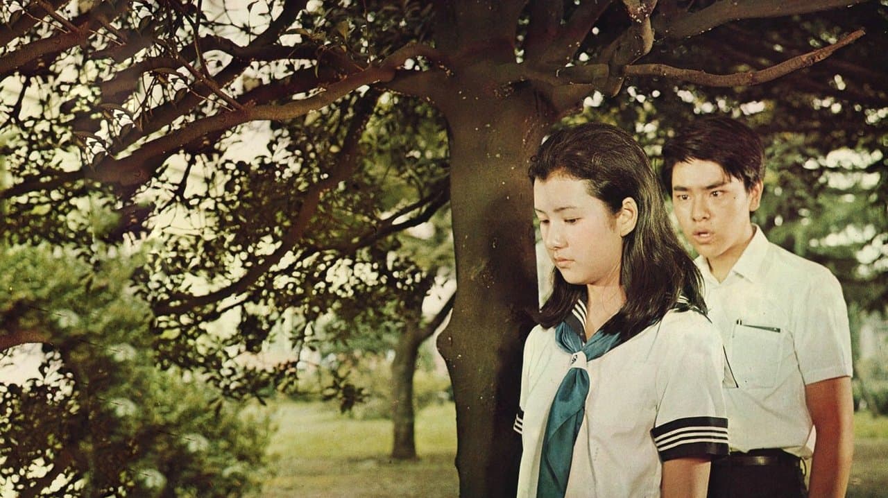 高校生ブルースの背景画像