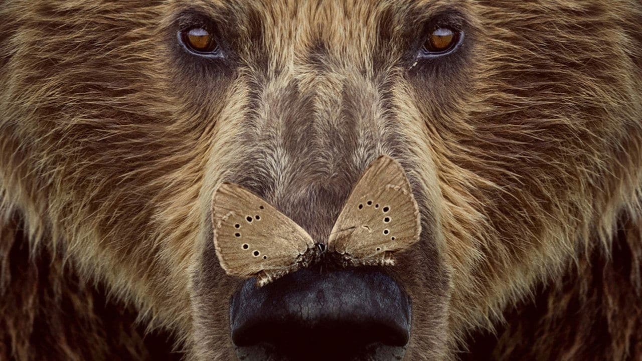 Cantábricoの背景画像