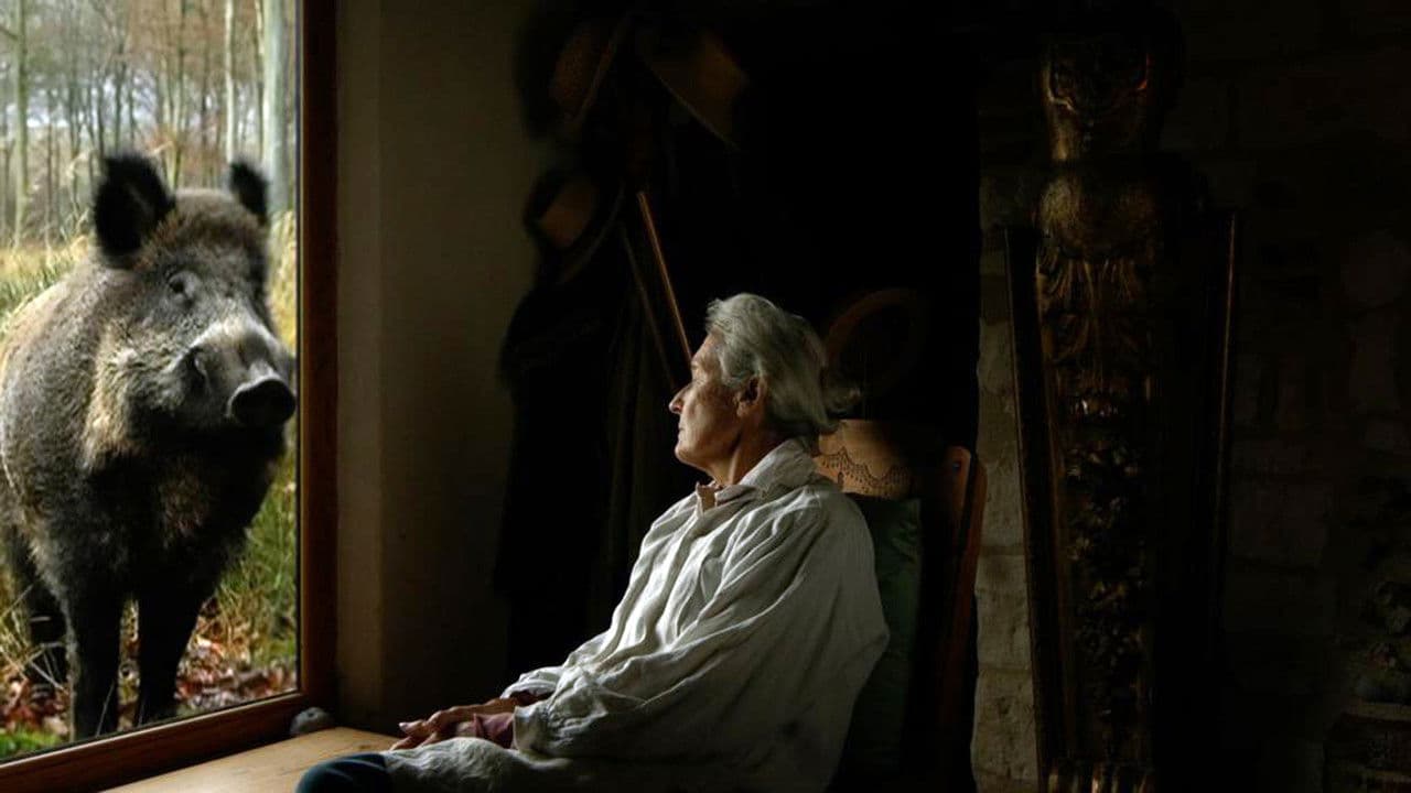 Va, Toto!の背景画像