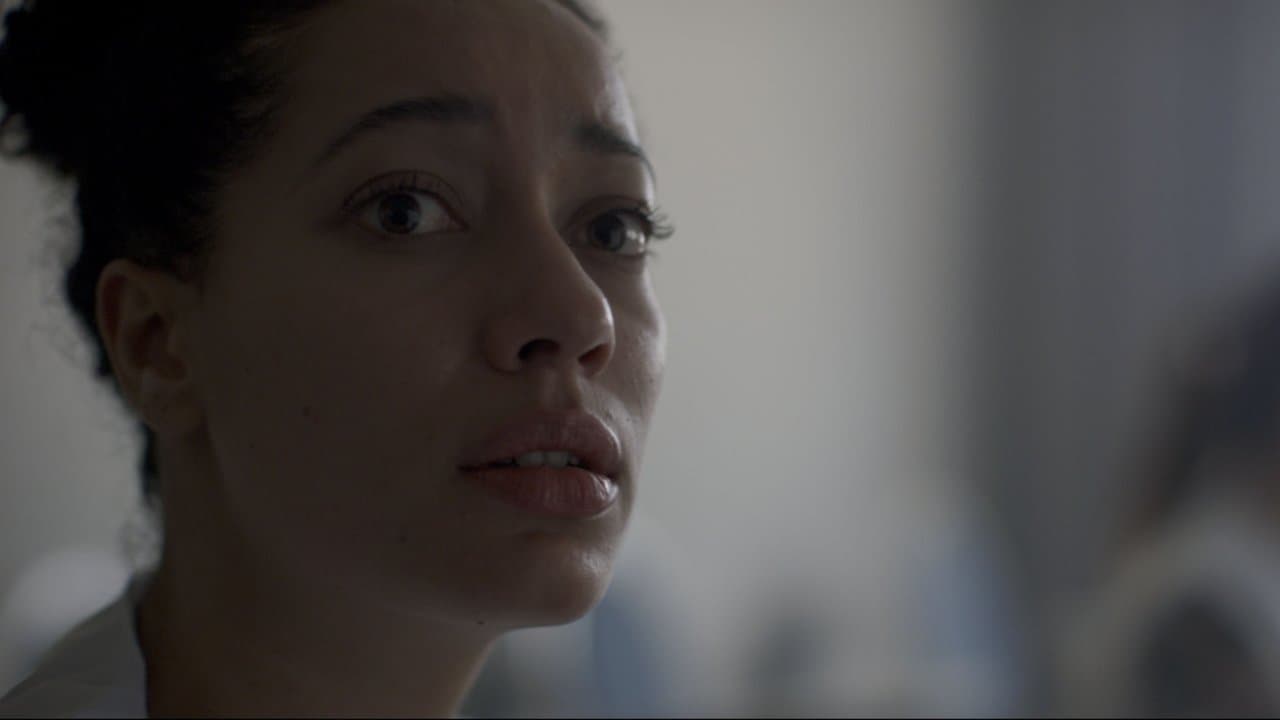 Pequenas Insurreiçõesの背景画像