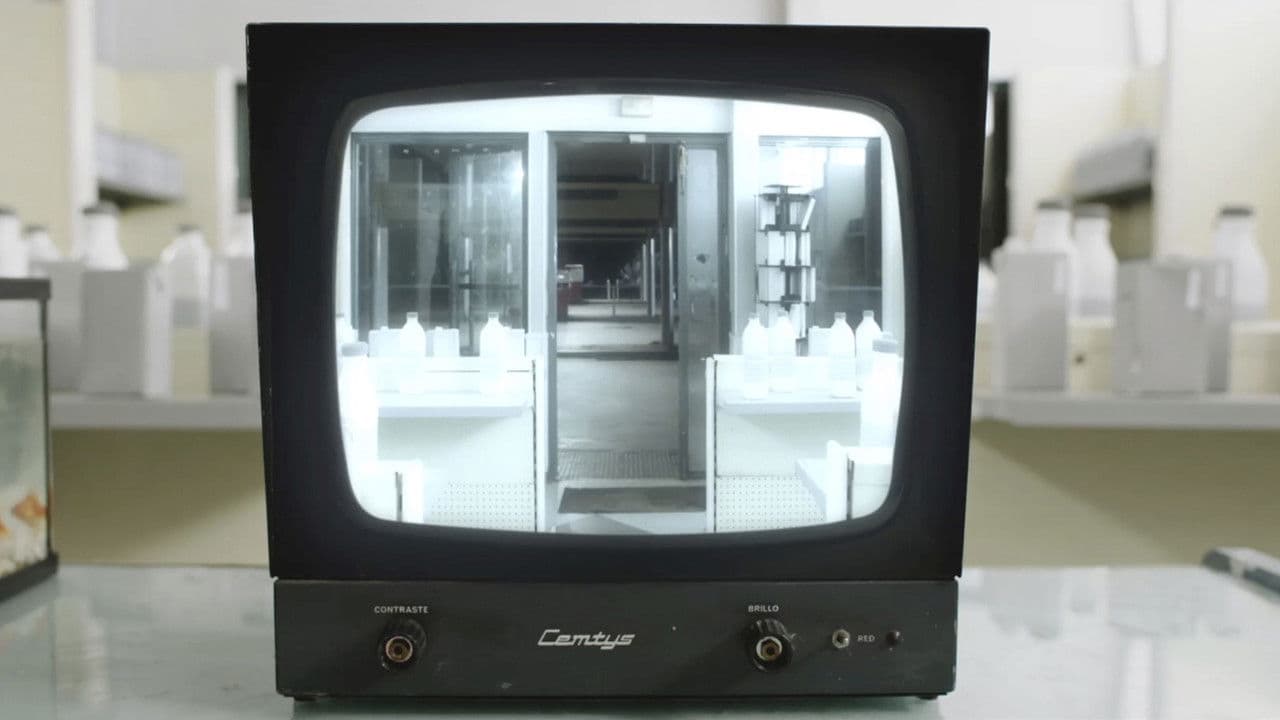 No Placeの背景画像