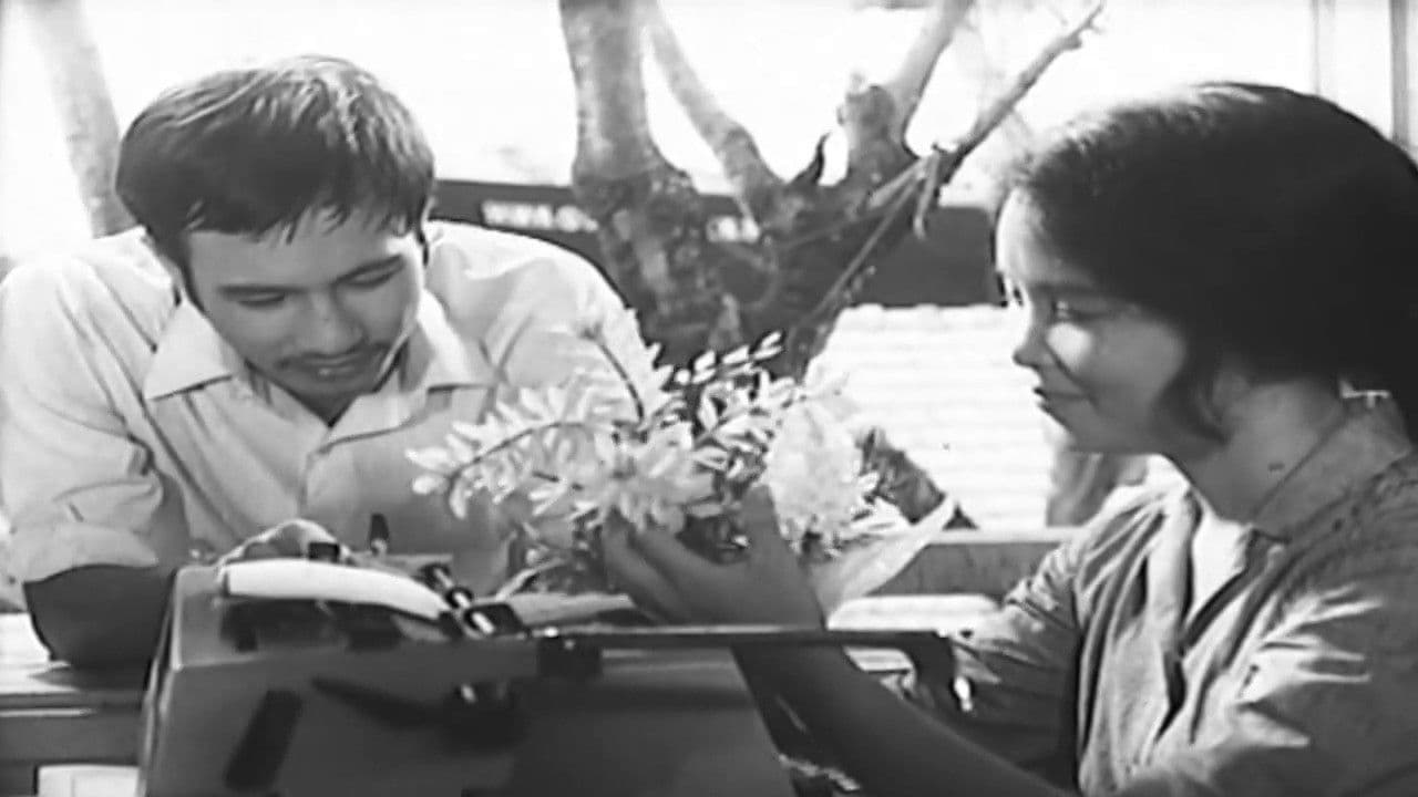 Những Ngôi Sao Biểnの背景画像