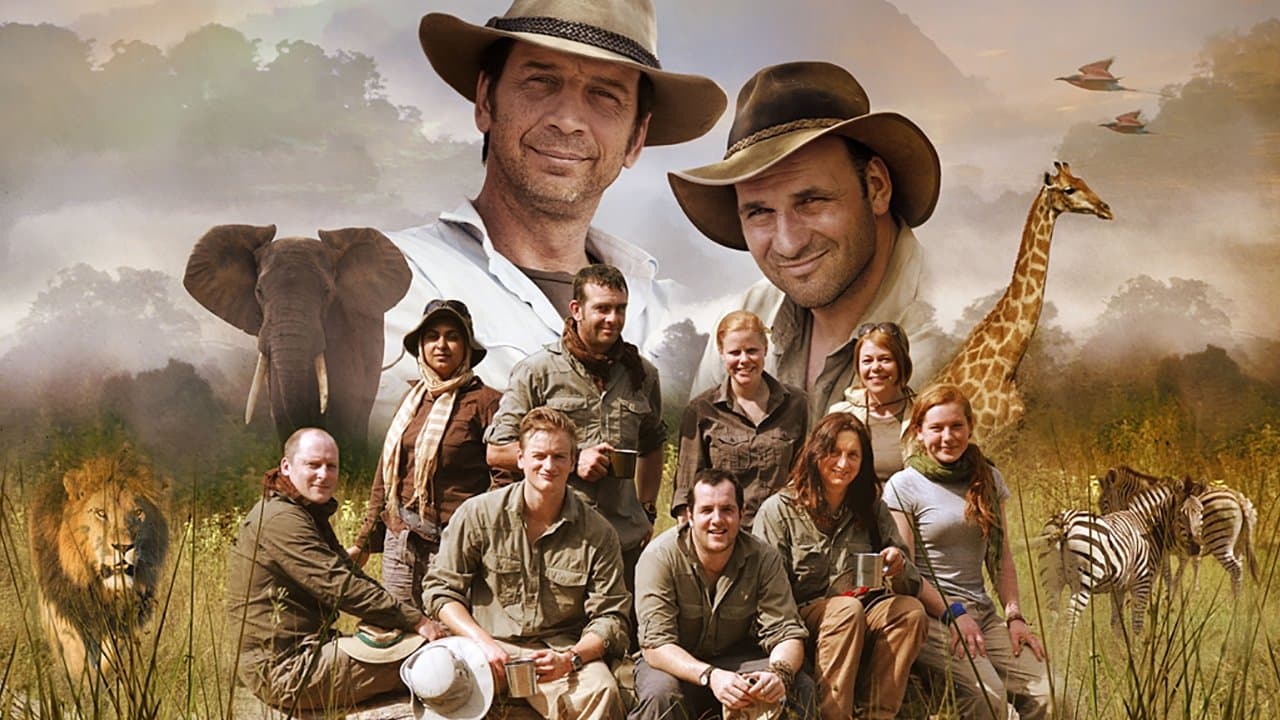 Wildest Dreamsの背景画像