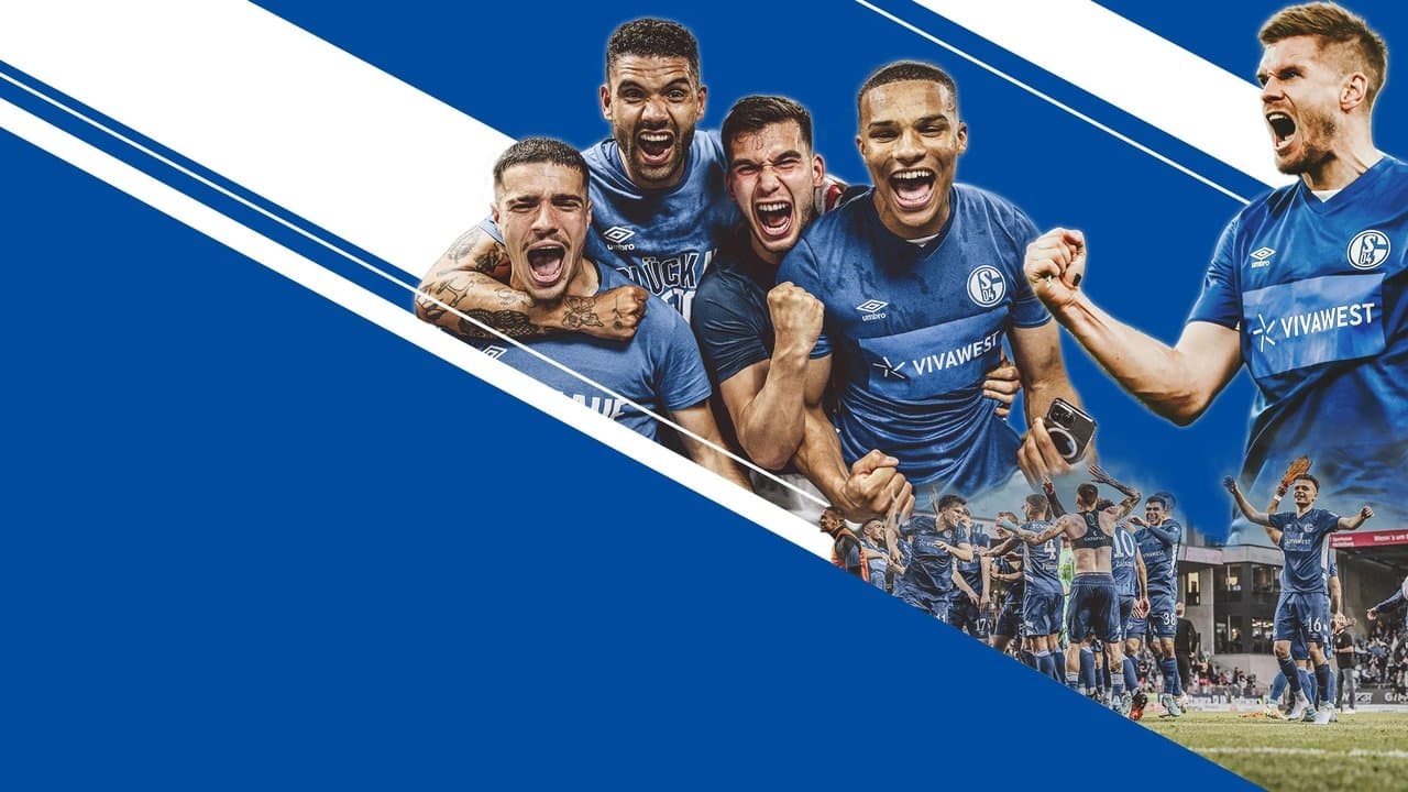Schalke 04 – Zurück zum Wirの背景画像