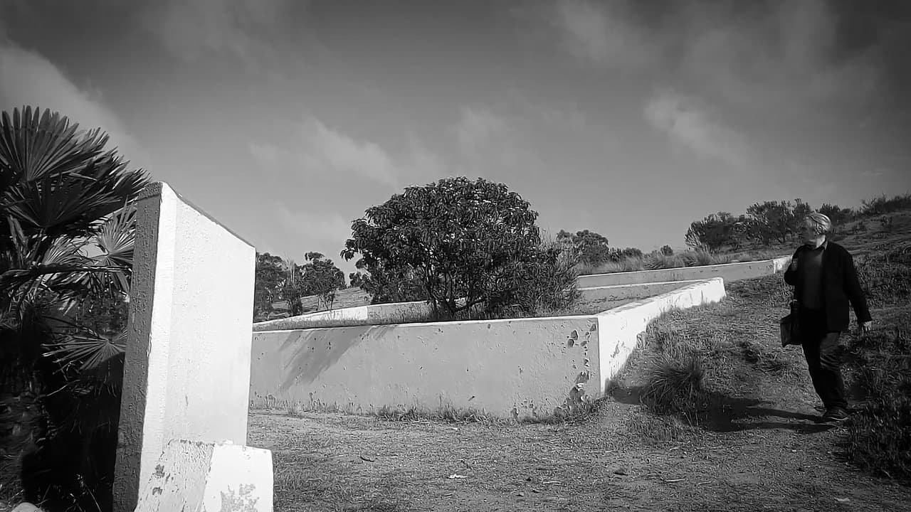 Honoris Causaの背景画像