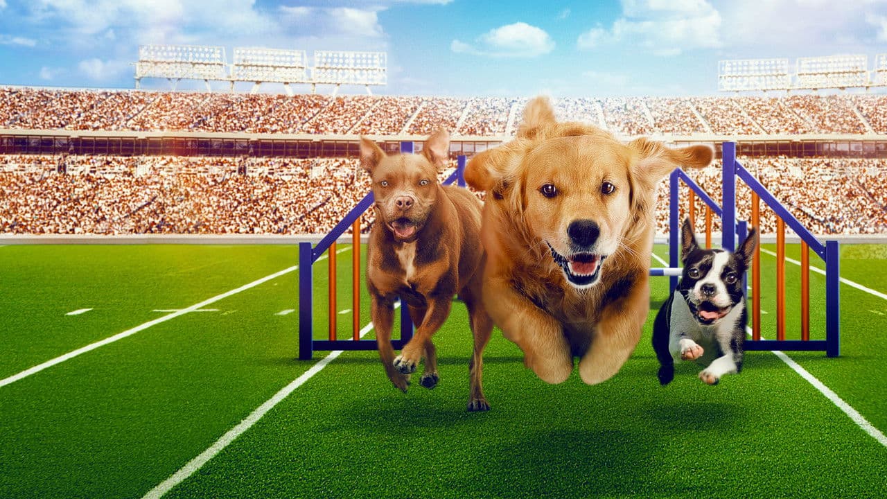 Puppy Bowl Presents: The Dog Gamesの背景画像