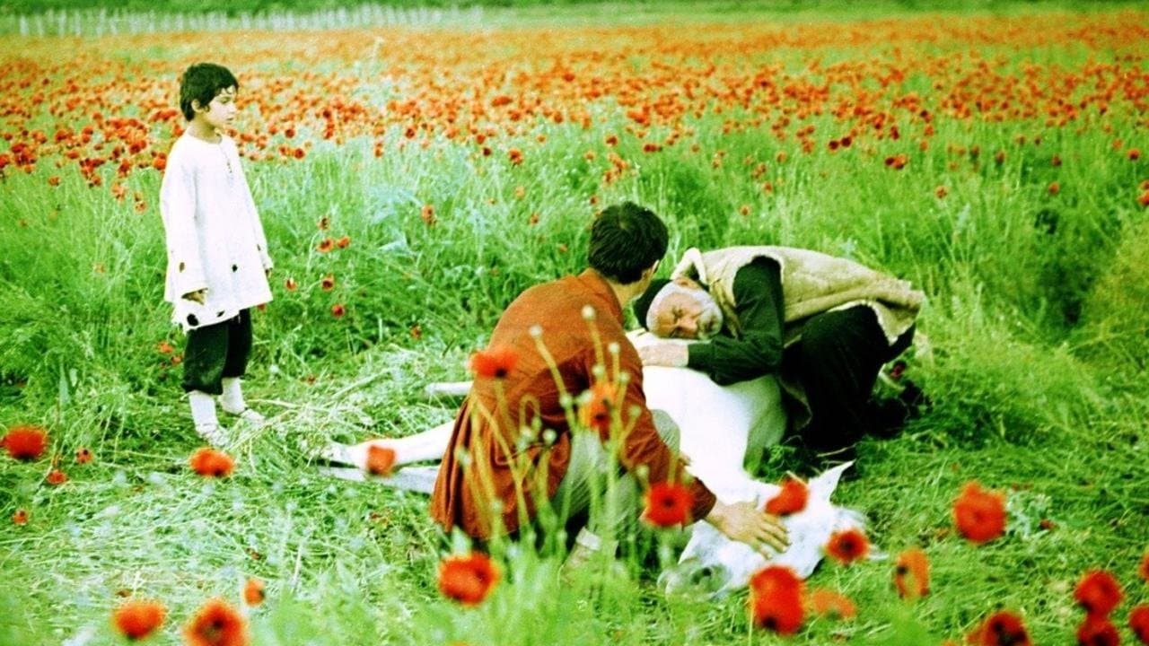 ნატვრის ხეの背景画像