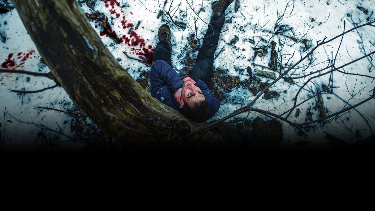 Wolvesの背景画像