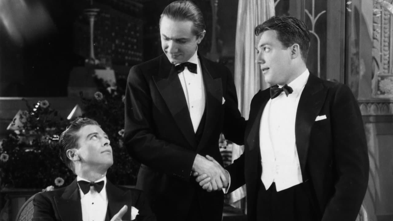 Wild Companyの背景画像