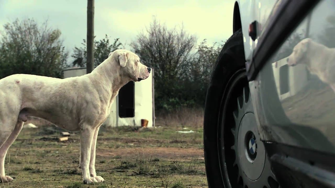 La BM du Seigneurの背景画像