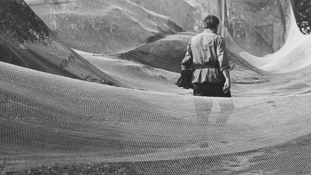 Birželis, vasaros pradžiaの背景画像