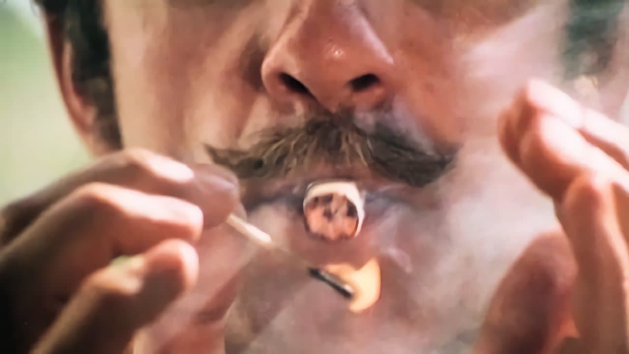 Bokhandlaren som slutade badaの背景画像