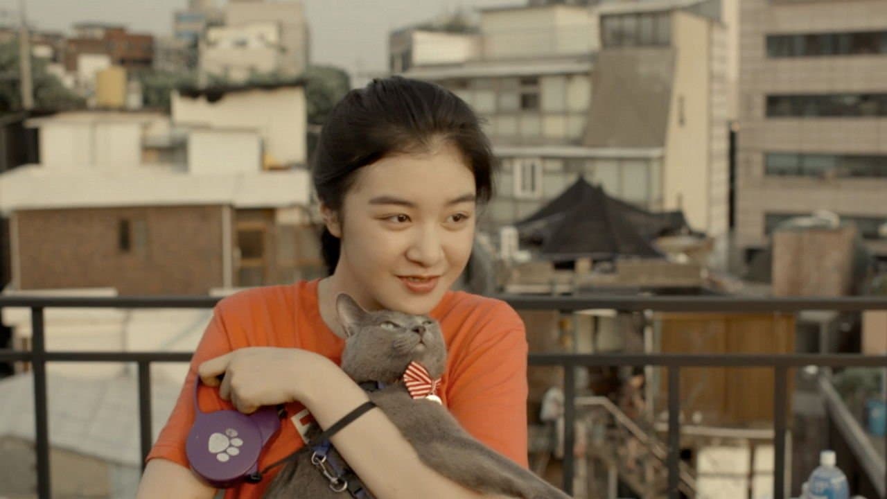 나만 없어 고양이の背景画像