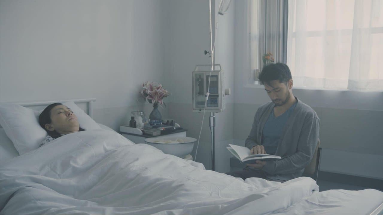 Teddyの背景画像