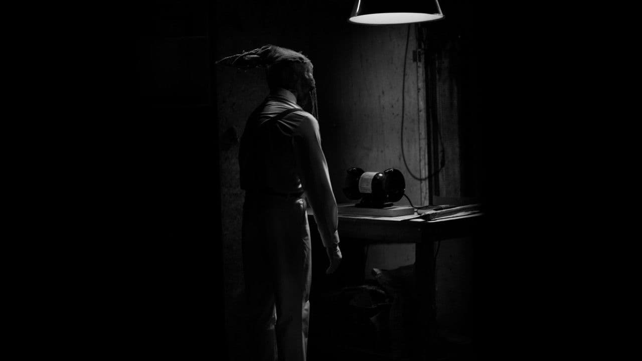 The Hollow Rabbitの背景画像