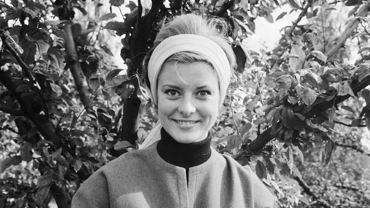 Svenska ord i bild och talの背景画像