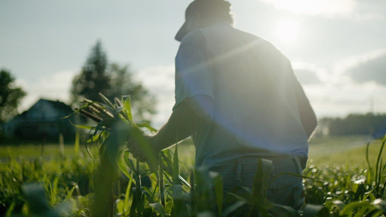 Wasted! The Story of Food Wasteの背景画像