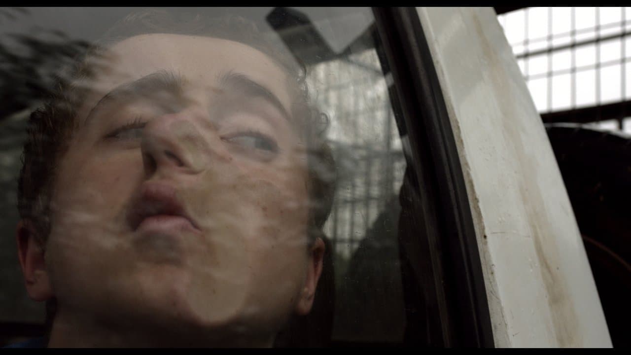 Kill Your Dinnerの背景画像