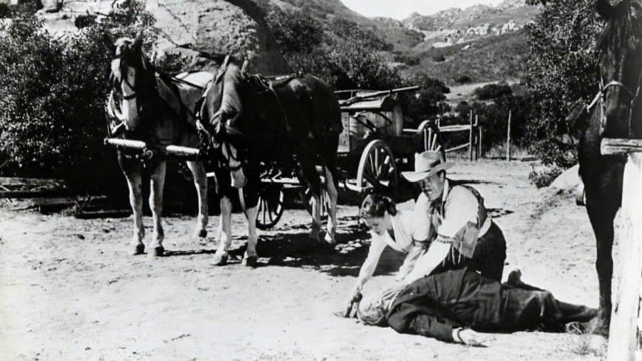 I Killed Wild Bill Hickokの背景画像