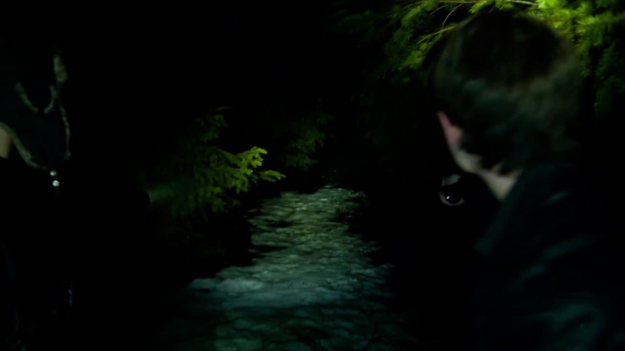 Timberlineの背景画像