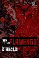 Sem Filtro: Flamengo
