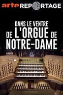 Dans le ventre de l'orgue de Notre-Dame