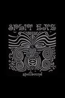 Split Enz: Spellbound