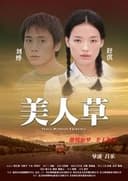 美人草