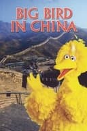 ビッグバード 中国への旅