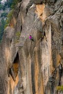 The Traditionalist - Chapter One