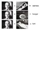 Эффект Кулешова