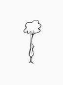 Every woman should have the tools to take control of her life