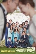 だまされても夢心地